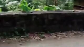 Video lucu