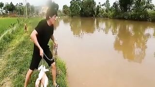 Terrified Alone Girl Faces With A Giant Golden Snake That Weighs 1000 Kg