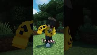 Finding Minecraft's PERFECT