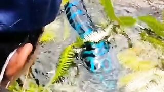fishing big fish