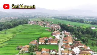 beautiful countryside surrounded by green rice fields