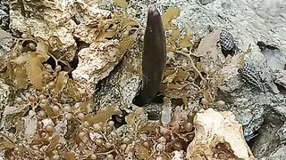 rocks on the beach