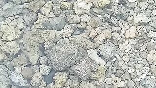 view of rocks in water