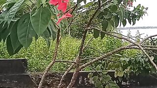 Red Flower
