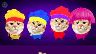 My Name Is Cats, Funny Parody Dbillions