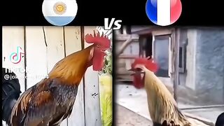Prediksi Final Piala Dunia 2022