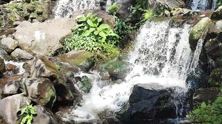 Air terjun cibodas