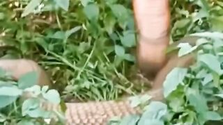 snake