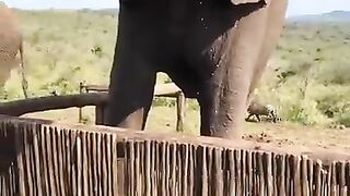 Bet-he-can-t-drink-beer-that-fast-shorts_8.mp4