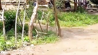 Hiburan