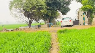 Village life | gaon mera mujhe yaad aata raha | Beautiful clicks of simple village life