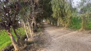 Village life | gaon mera mujhe yaad aata raha | Beautiful clicks of simple village life