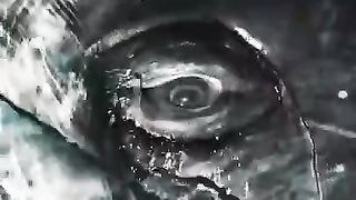 Staring Contest with a Whale