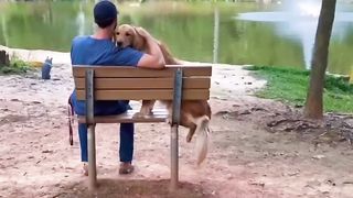 Man’s best friend. #dog #goldenretriever