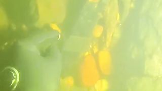 Found Criminal Evidence Underwater While Scuba Diving!