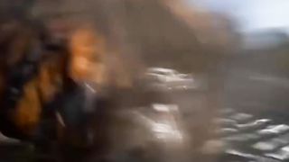 Dangerous Tiger ????