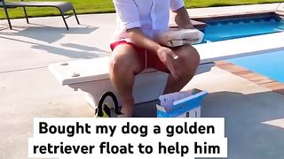 My dog won’t get out of the pool! #dog #goldenretriever