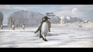 SPEED COMPARISON 3D Birds