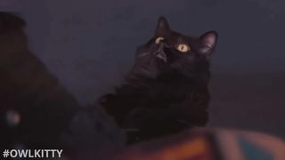 If Baby Yoda was a Cat (Mandalorian + OwlKitty)