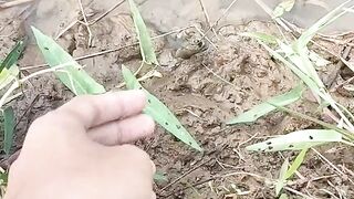 One Lane is a Lot of Eel Holes