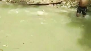 Peixe elétrico