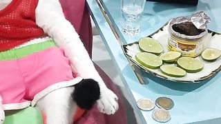 Hahahaha check out this funny cat
