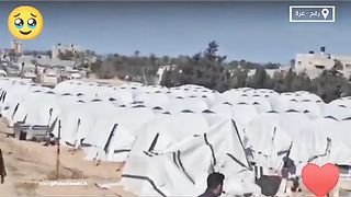 Update news about Palestine