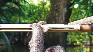 HOW TO MAKE BAMBOO AMAZING TOYS