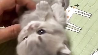Funny actions 199