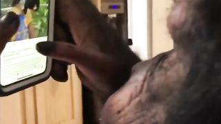 Funny Monkey Viral Video