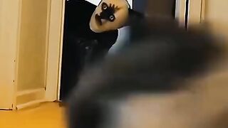startled ca