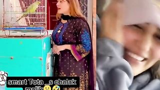 Mian Mittu, this is not it, even the parrot got confused.