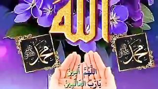New   video foryou #fyp #viral #1M #ajmal #raza #qadri #itz_usman_editx#febdport