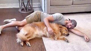 My dog ran away from me! #dog #goldenretriever