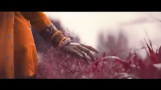 Danny_Zee_-_PIND_DI_HAWA____AFTERLIFE_-__Official_Music_Video____STORMS___serenity(360p).