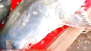 sharks attacking fiber optic cable _ shark eating fiber optic cable meme