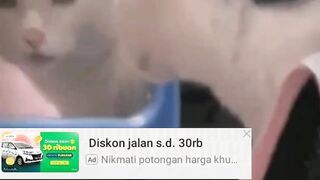 Mpuuuus nyesel Potong Rambut