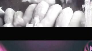 Ridiculous Incident vol 254