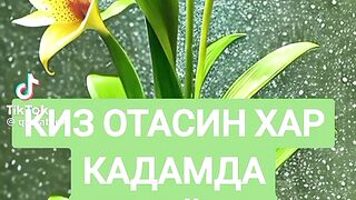 Qiz otasini har qadamda eslaydi