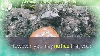 Managing Chronic Kidney Disease: Lifestyle Tips and Treatment Options
