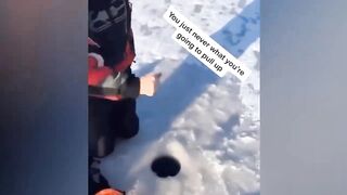 Best Fails Of Funniest