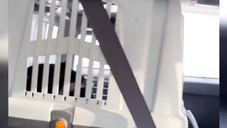Как мы снимали с крыши пантеру Луну