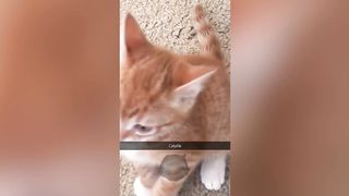 BEST CUBE V210 Best Memes Compilation January 2024