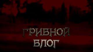 ТОП-10 САМЫХ КРАСИВЫХ МУХОМОРОВ