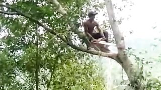 orang jatuh dari pohon ????????