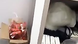 ???? Смешное видео с животными-