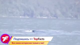 На Скрытую Камеру Сняли Такое- Что Никто не Должен был Увидеть