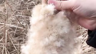 satisfying ????