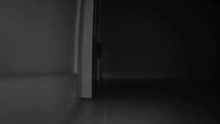 What Do Cats Do At Night?