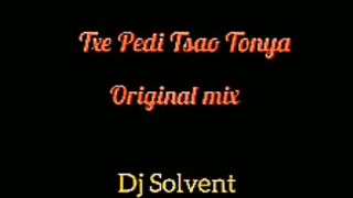 Dj solvent - Txe Pedi Tsao tonya - original mix